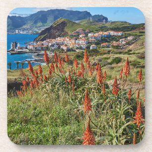 Flowers Madeira Island Portugal Coaster