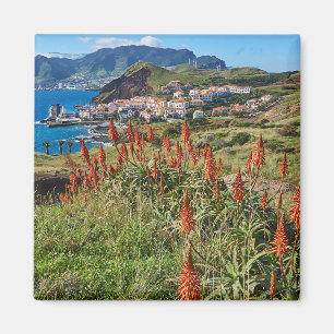 Flowers   Madeira Island Portugal Magnet