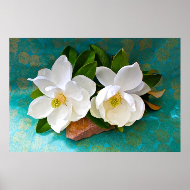 Flowers | Magnolia Flower Poster (Front)