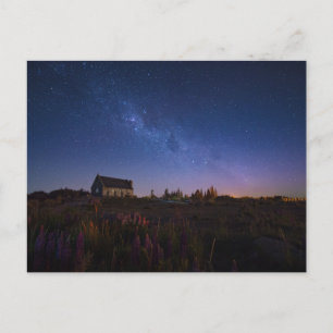 Flowers   Milky Way New Zealand Postcard
