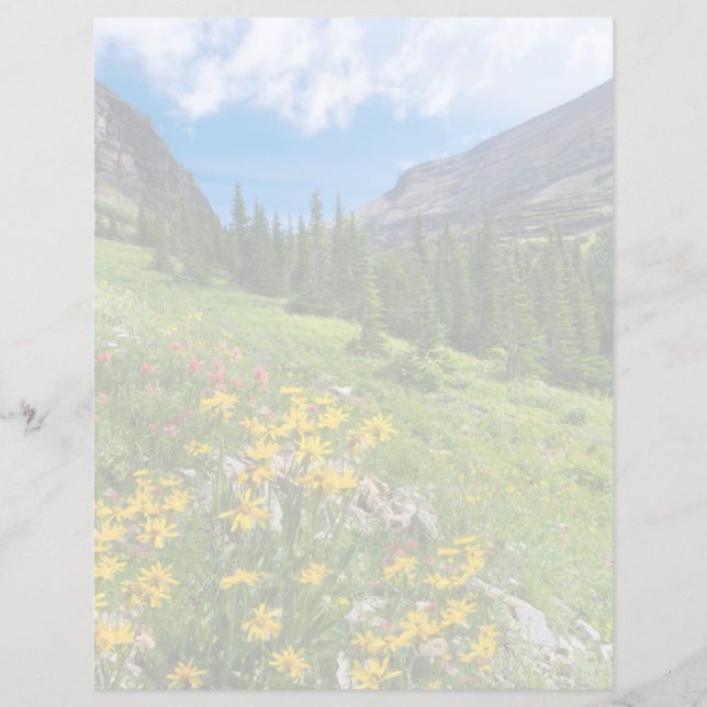 Flowers | Montana Flower Path (Front)