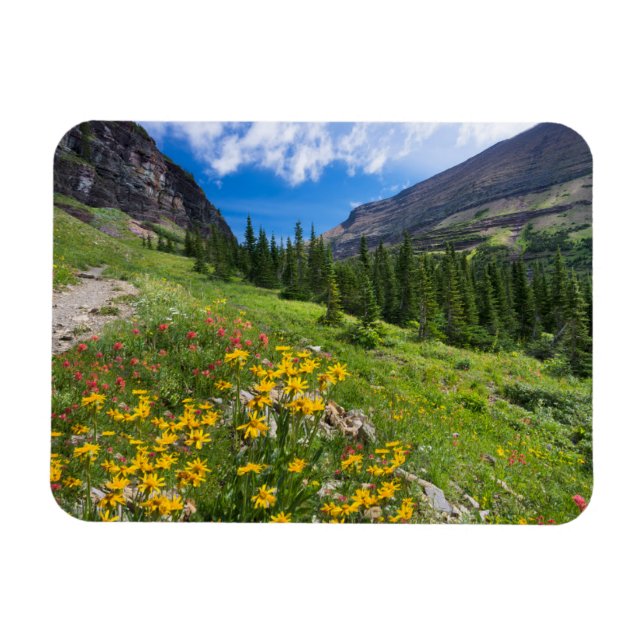 Flowers | Montana Flower Path Magnet (Horizontal)