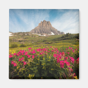 Flowers   Montana's Glacier National Park Magnet