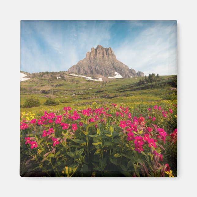 Flowers | Montana's Glacier National Park Magnet (Front)