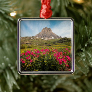 Flowers Montana's Glacier National Park Metal Ornament