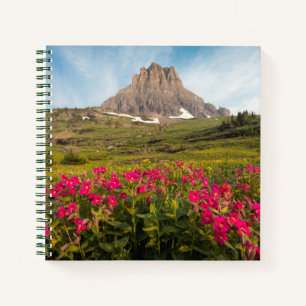 Flowers Montana's Glacier National Park Notebook