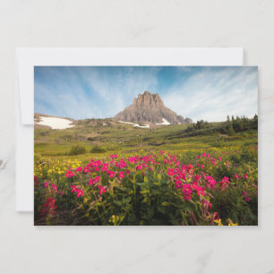 Flowers Montana's Glacier National Park Thank You Card