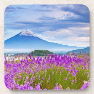 Flowers Mount Fugi Japan Coaster