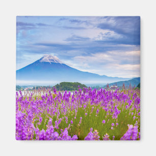 Flowers   Mount Fugi Japan Magnet
