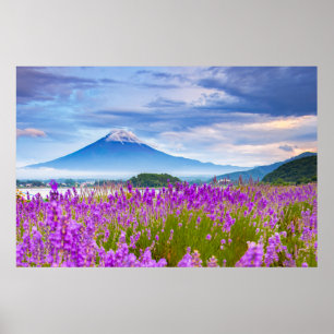 Flowers Mount Fugi Japan Poster