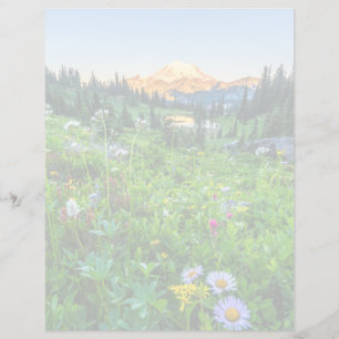 Flowers Mount Rainier National Park