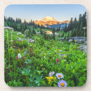 Flowers Mount Rainier National Park Coaster