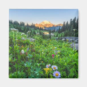 Flowers   Mount Rainier National Park Magnet