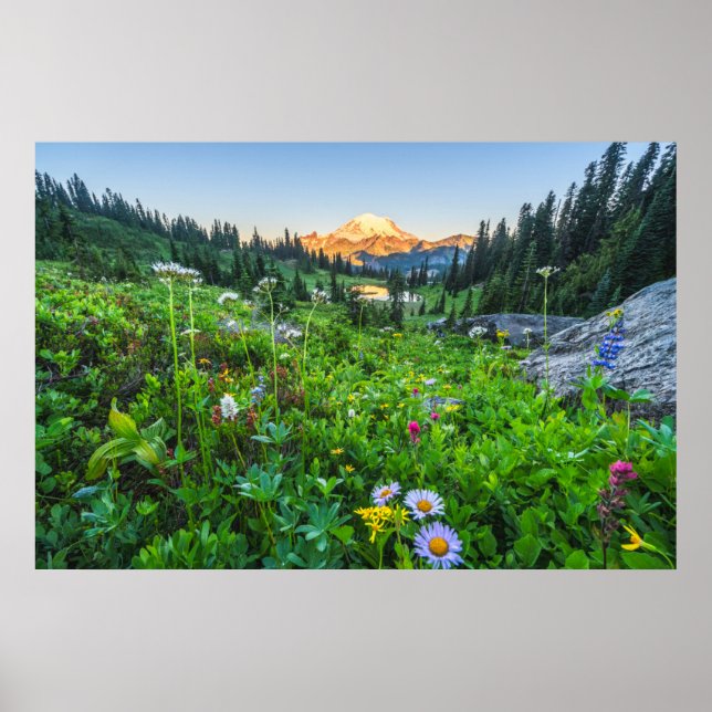 Flowers | Mount Rainier National Park Poster (Front)