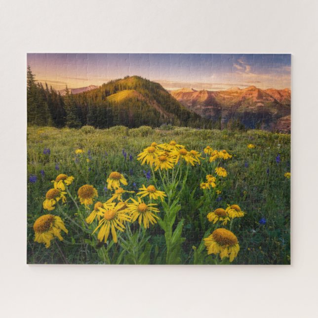 Flowers | Mountain Meadow Crested Butte Colorado Jigsaw Puzzle (Horizontal)