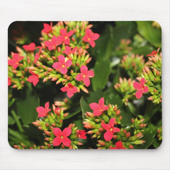 flowers mouse pad (Front)
