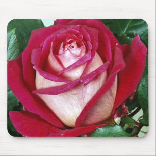 Flowers Mouse Pad