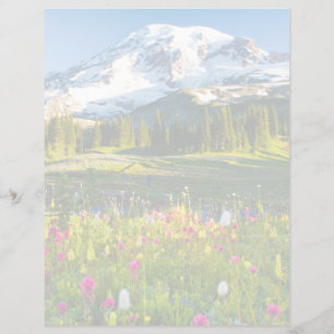 Flowers   Mt. Rainier Wildflowers