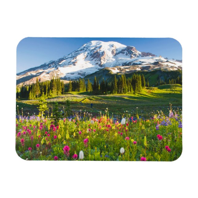 Flowers | Mt. Rainier Wildflowers Magnet (Horizontal)