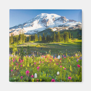 Flowers   Mt. Rainier Wildflowers Magnet