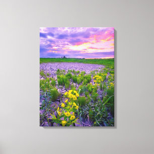 Flowers   North Dakota Red River Valley Canvas Print