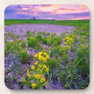 Flowers   North Dakota Red River Valley Coaster