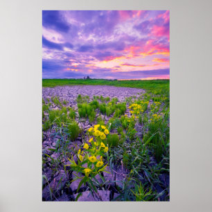 Flowers   North Dakota Red River Valley Poster
