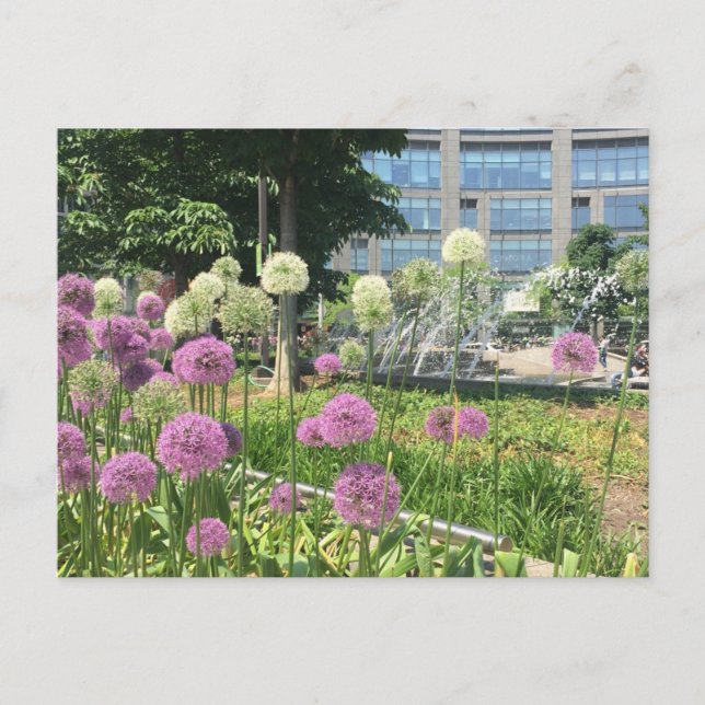 Flowers NYC Columbus Circle Fountain Postcard (Front)