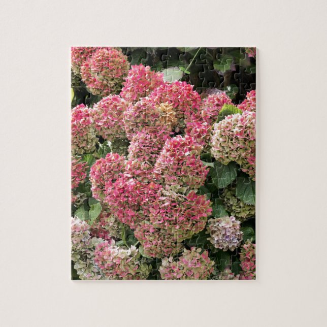 Flowers of a French hydrangea (Hydrangea macrophyl Jigsaw Puzzle (Vertical)