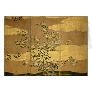 Flowers of Camellias