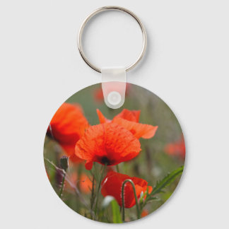 Flowers of common poppy in a field. key ring