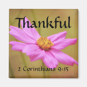 Flowers of Faith 2 Corinthians Cosmos Magnet