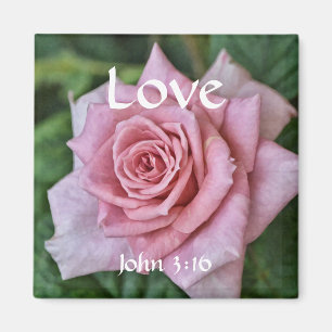 Flowers of Faith John 3:16 Rose Magnet