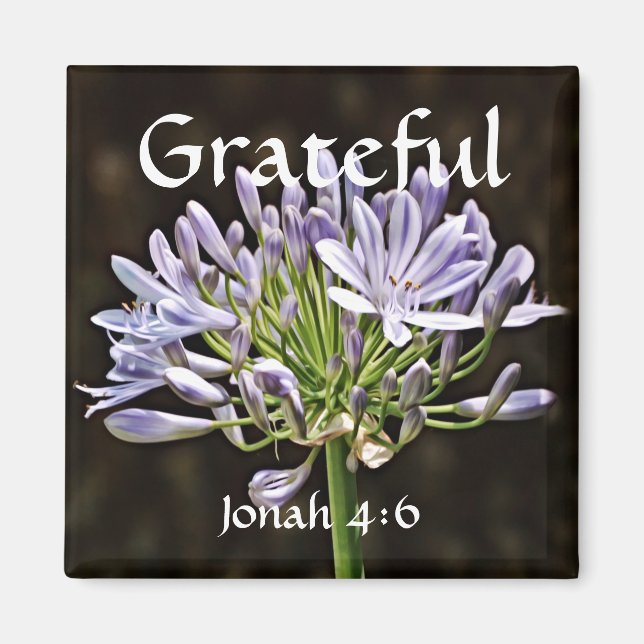 Flowers of Faith Jonah Agapanthus Magnet (Front)