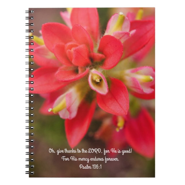 Flowers of Faith Mercy Prayer Notebook (Front)