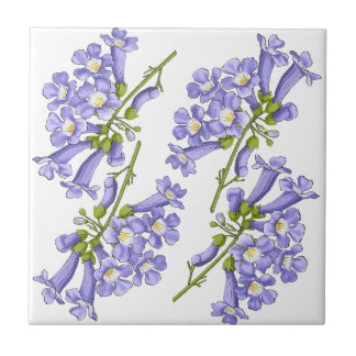 Flowers of Jacaranda Brazil Ceramic Tile