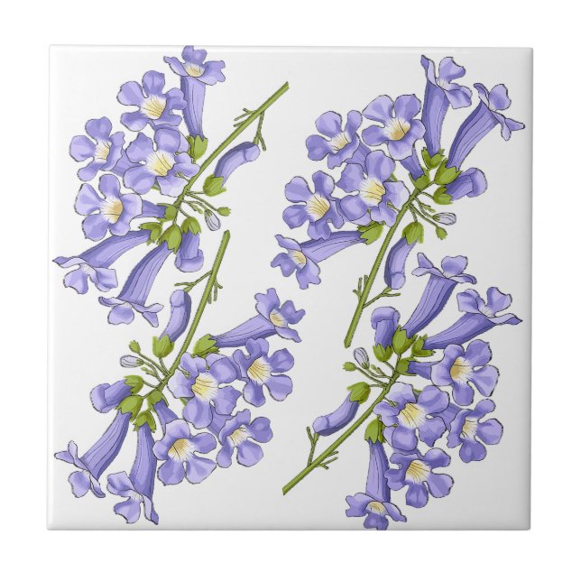 Flowers of Jacaranda Brazil Ceramic Tile (Front)