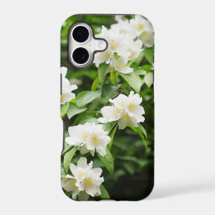 Flowers of jasmin in spring garden