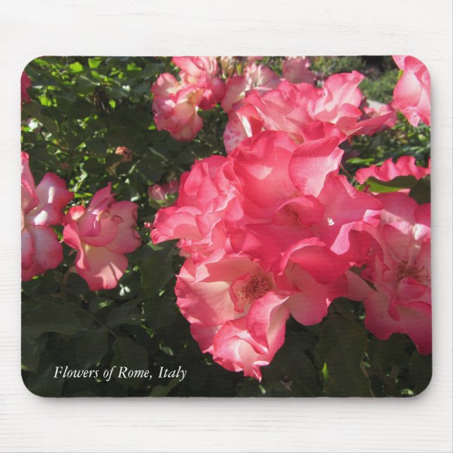 Flowers of Rome, Italy Mouse Pad (Front)