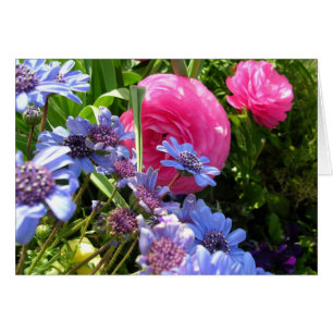 Flowers of Spring