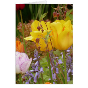 Flowers Of Tenderness