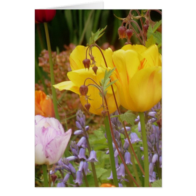 Flowers Of Tenderness (Front)