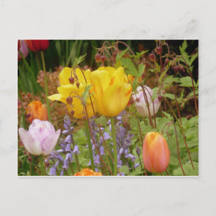 Flowers Of Tenderness Postcard