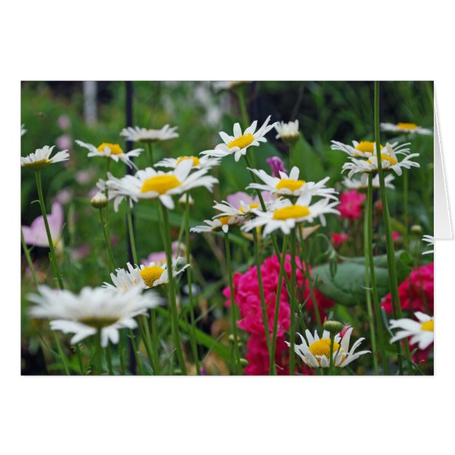 Flowers of the world (Front Horizontal)