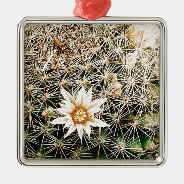 Flowers on a Cactus Metal Ornament (Front)