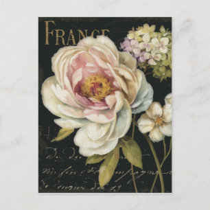 Flowers on Black Postcard