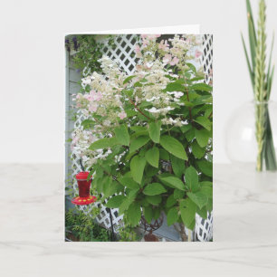 Flowers On Trellis & Hummingbird Feeder Card