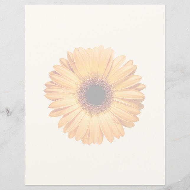 Flowers | Orange Gerbera (Front)