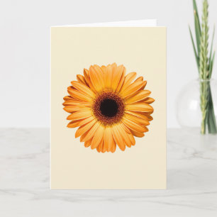Flowers Orange Gerbera Card