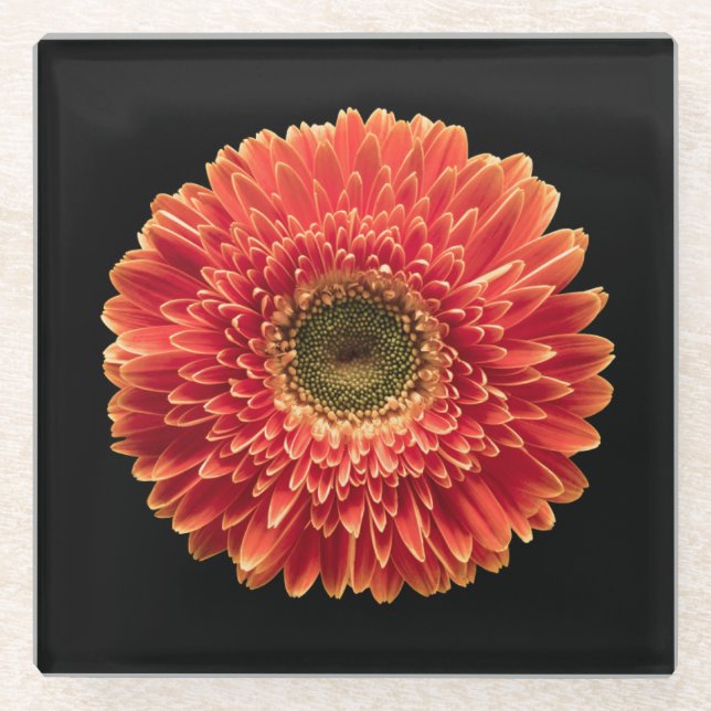 Flowers | Orange Gerbera Daisy Glass Coaster (Front)